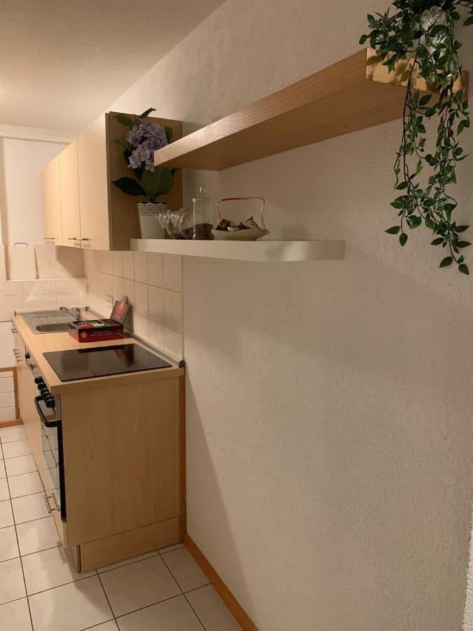 Holiday Home Nahe Europapark Lahr  Εξωτερικό φωτογραφία